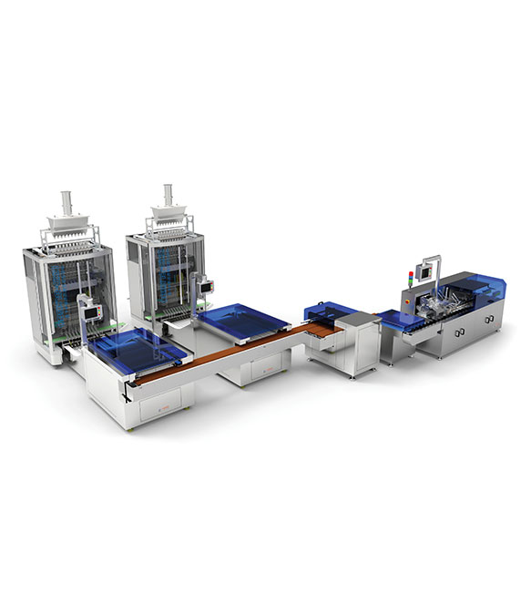 DXD-BLY800 Liquid Back Sealing Carton Packing Production Line