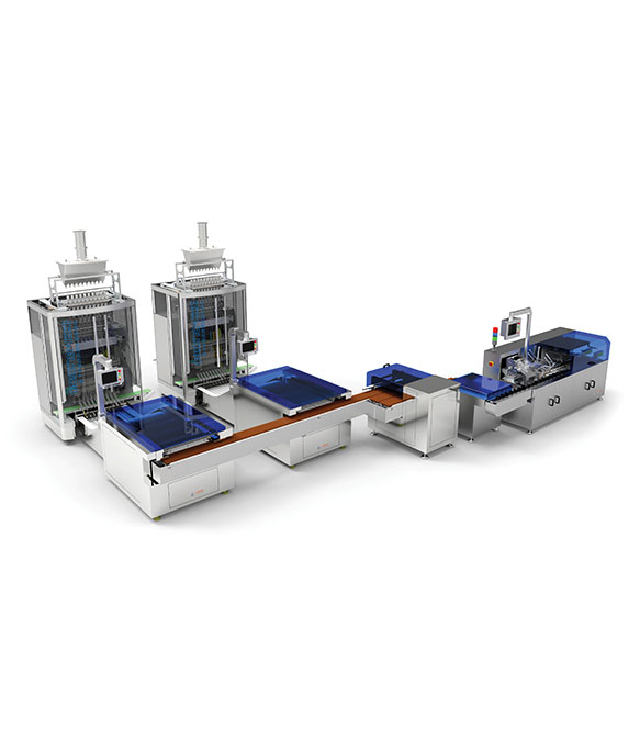 DXD-BLJ800 Paste Back Sealing Carton Packing Production Line