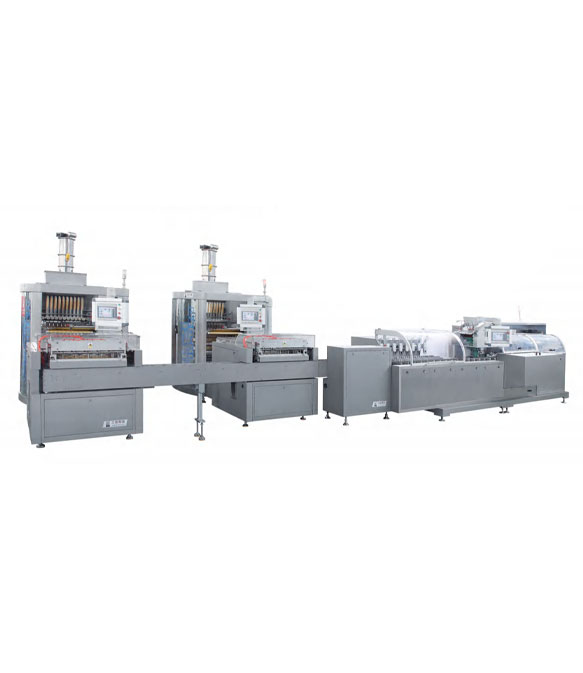 DXD-KL1200G Full Automatic High Speed Granule Packing Production Line