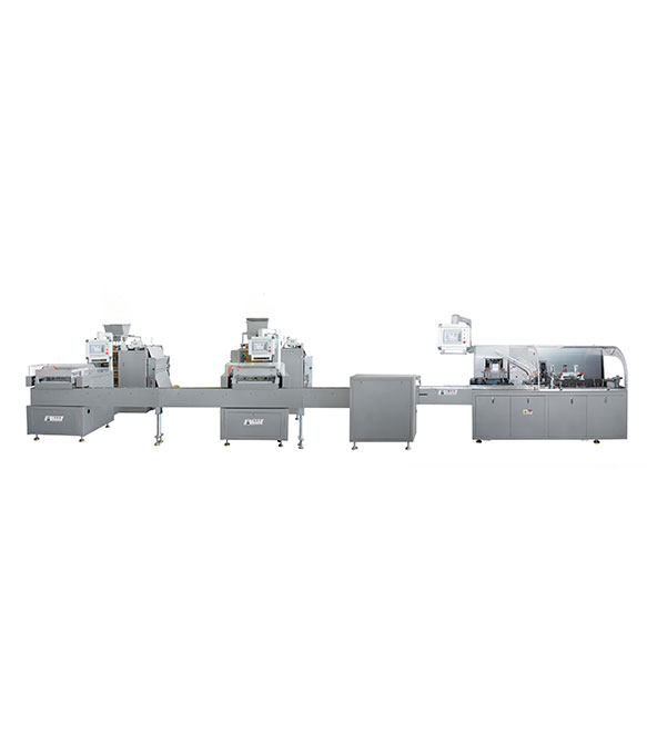 DXD-PL900 Tablets Four Side Sealing Sachet Carton Packing Production Line